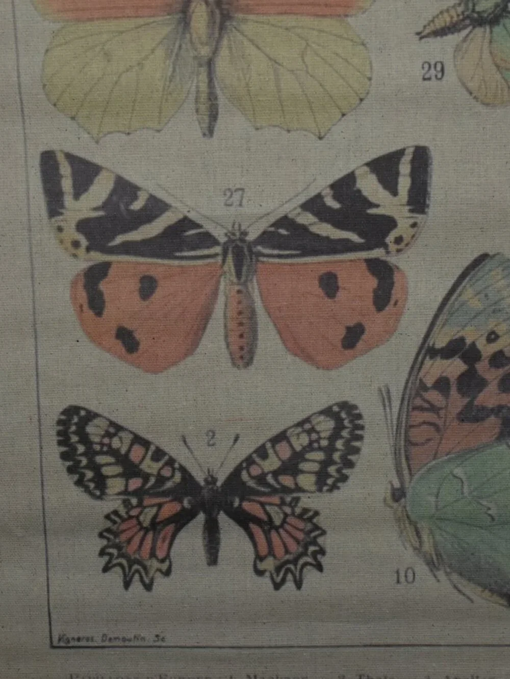 Butterfly Moth Large Linen Canvas Scroll Tapestry Boho Cottagecore Wall Decor